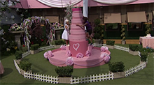 Wedding Crashers Battle of the Block - Big Brother 16